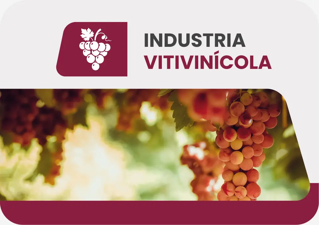 Industria Vitivin&iacute;cola